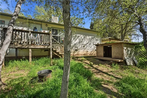 a view of a backyard with plants