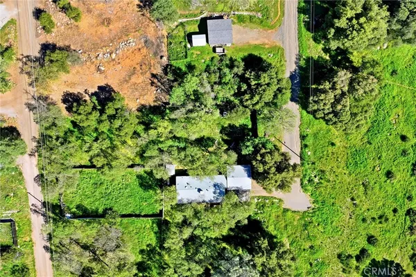 a view of a lush green field with lots of bushes
