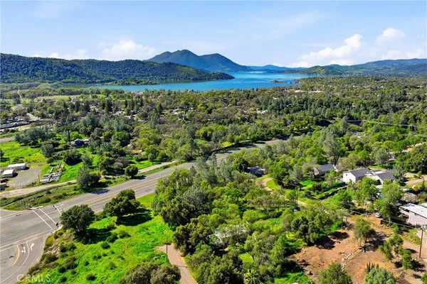a view of a forest with a lake