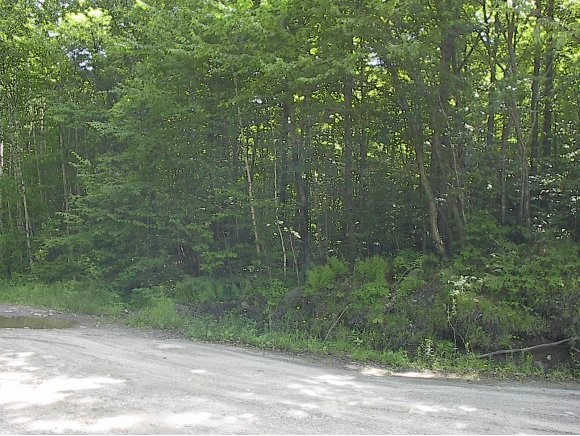 Lot 4 A Mt Tug Road Lunenburg, VT 05906 - Photo 1 of 1
