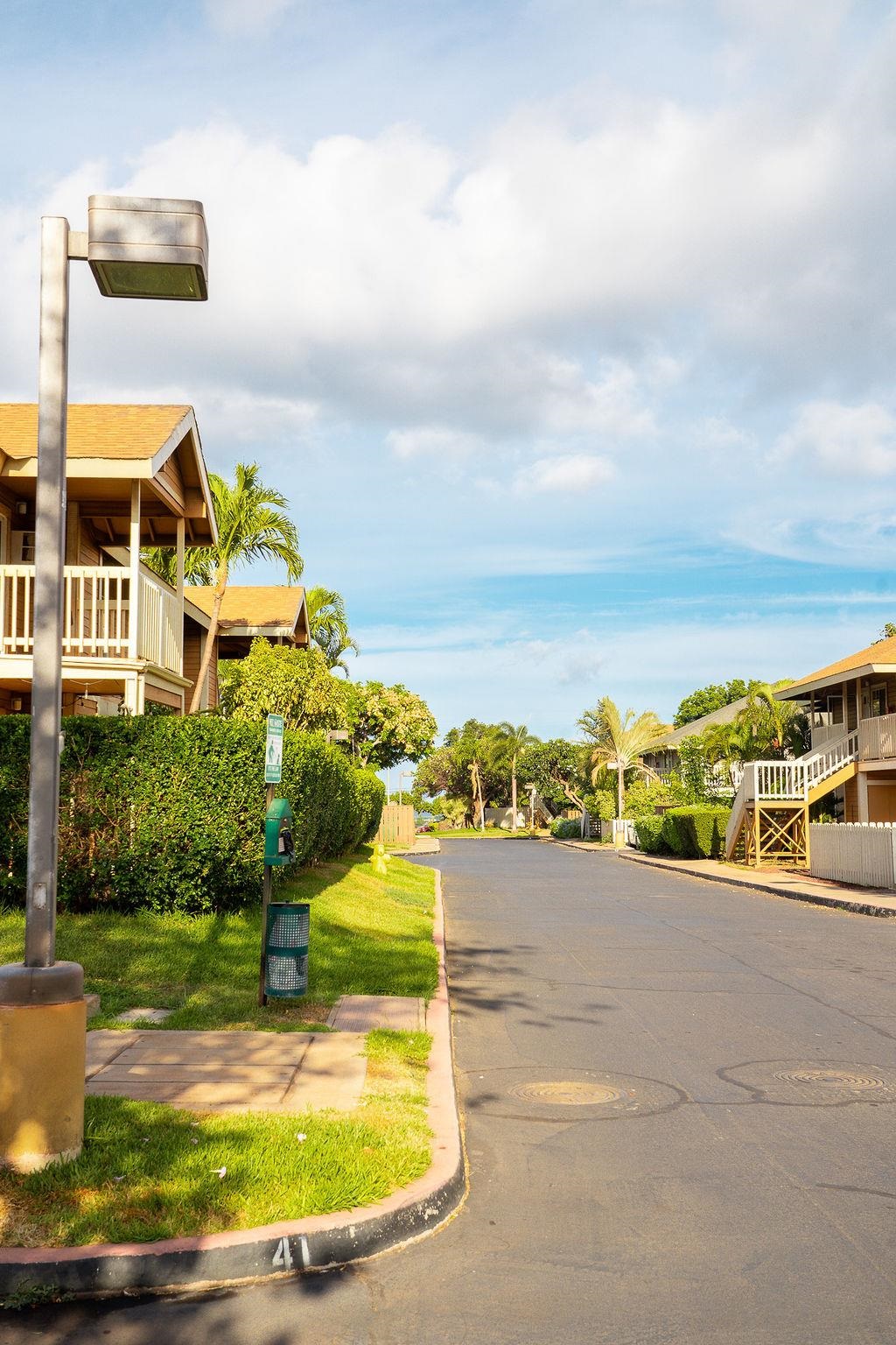 140 Uwapo Road, Unit 41203 Kihei, HI 96753 - Photo 18 of 23 Gallery Image 18