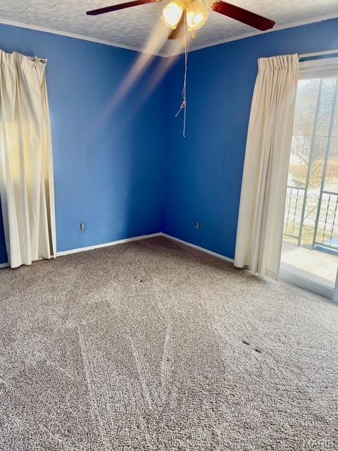 4620 North Alby Street Godfrey, IL 62035 - Photo 6 of 23