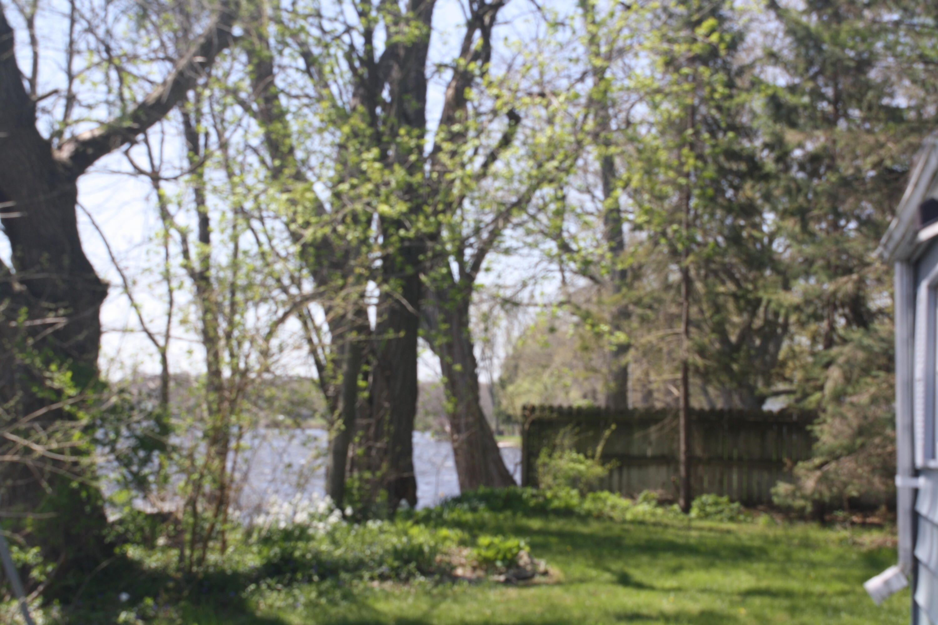 22951 Riverside Drive Mendon, MI 49072 - Photo 10 of 39 IMG_3608