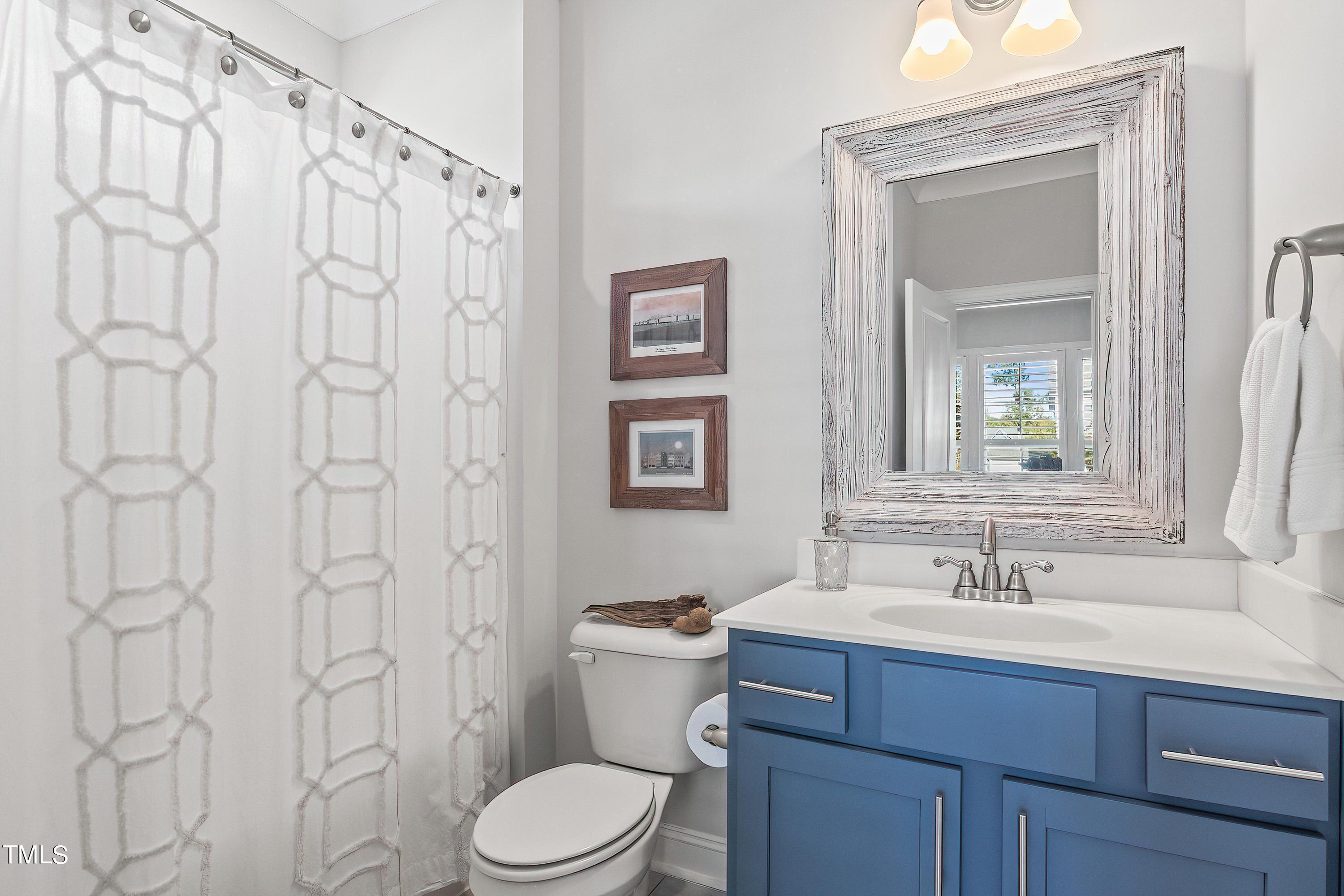 2025 Braeburn Drive Apex, NC 27539 - Photo 53 of 71 a bathroom with a sink a toilet and shower curtain