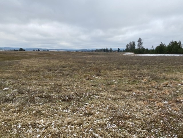 Xxxx-b North Hardesty Road Elk, WA 99009 - Photo 1 of 5