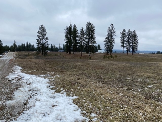 Xxxx-b North Hardesty Road Elk, WA 99009 - Photo 3 of 5