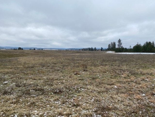 Xxxx-b North Hardesty Road Elk, WA 99009 - Photo 4 of 5