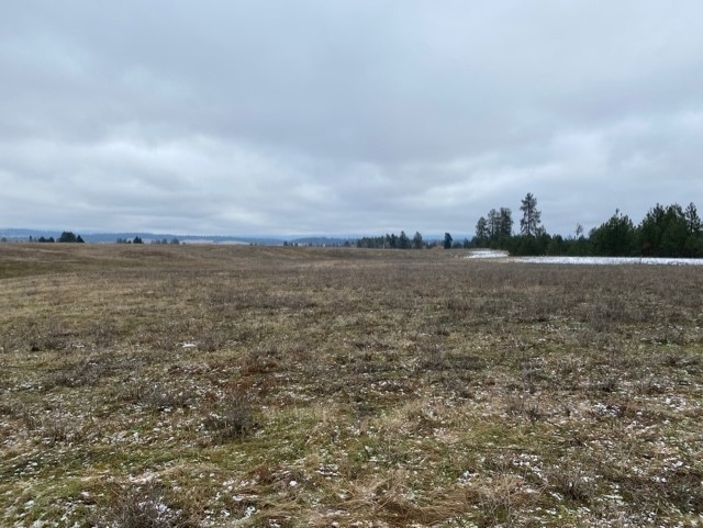 Xxxx-b North Hardesty Road Elk, WA 99009 - Photo 5 of 5