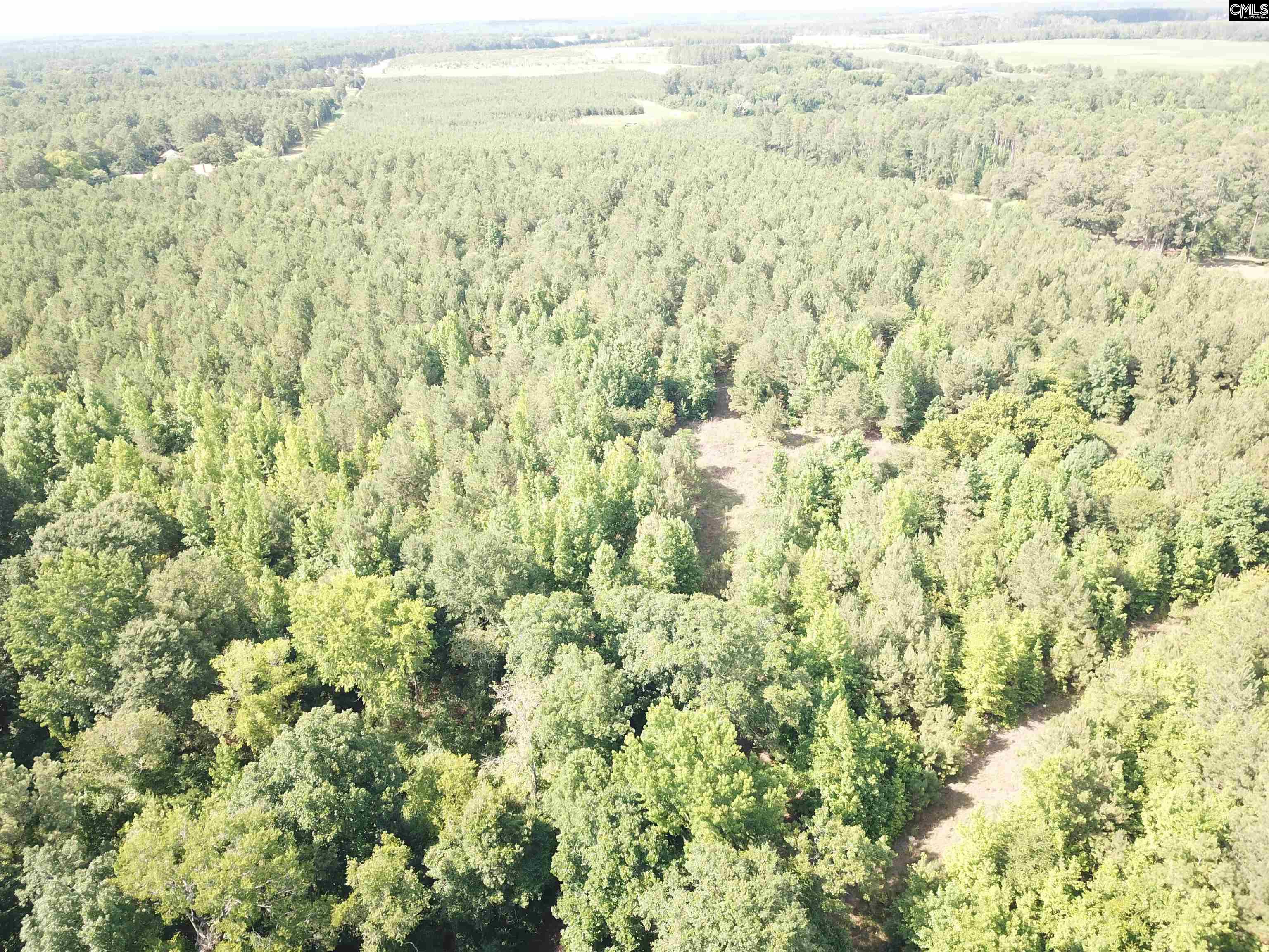 91 Shiver Road Rembert, SC 29128 - Photo 20 of 23