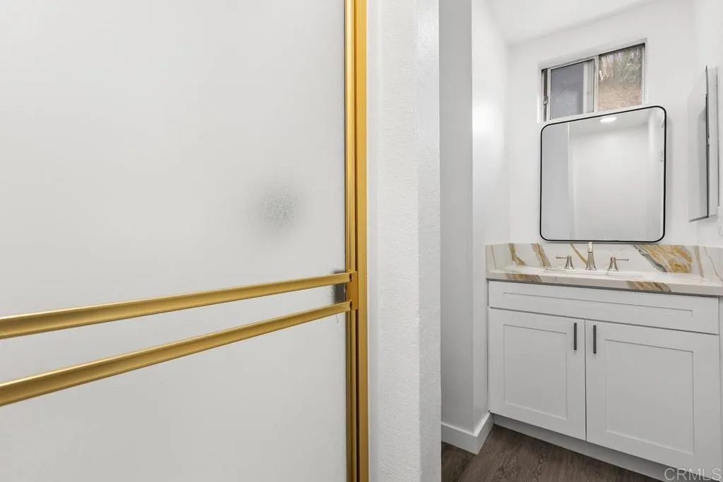 889 Bracero Road Encinitas, CA 92024 - Photo 52 of 59 a bathroom with a sink and a mirror