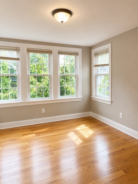 40 Victory Road, Unit 2 Boston, MA 02122 - Photo 5 of 15 Gallery Image 5