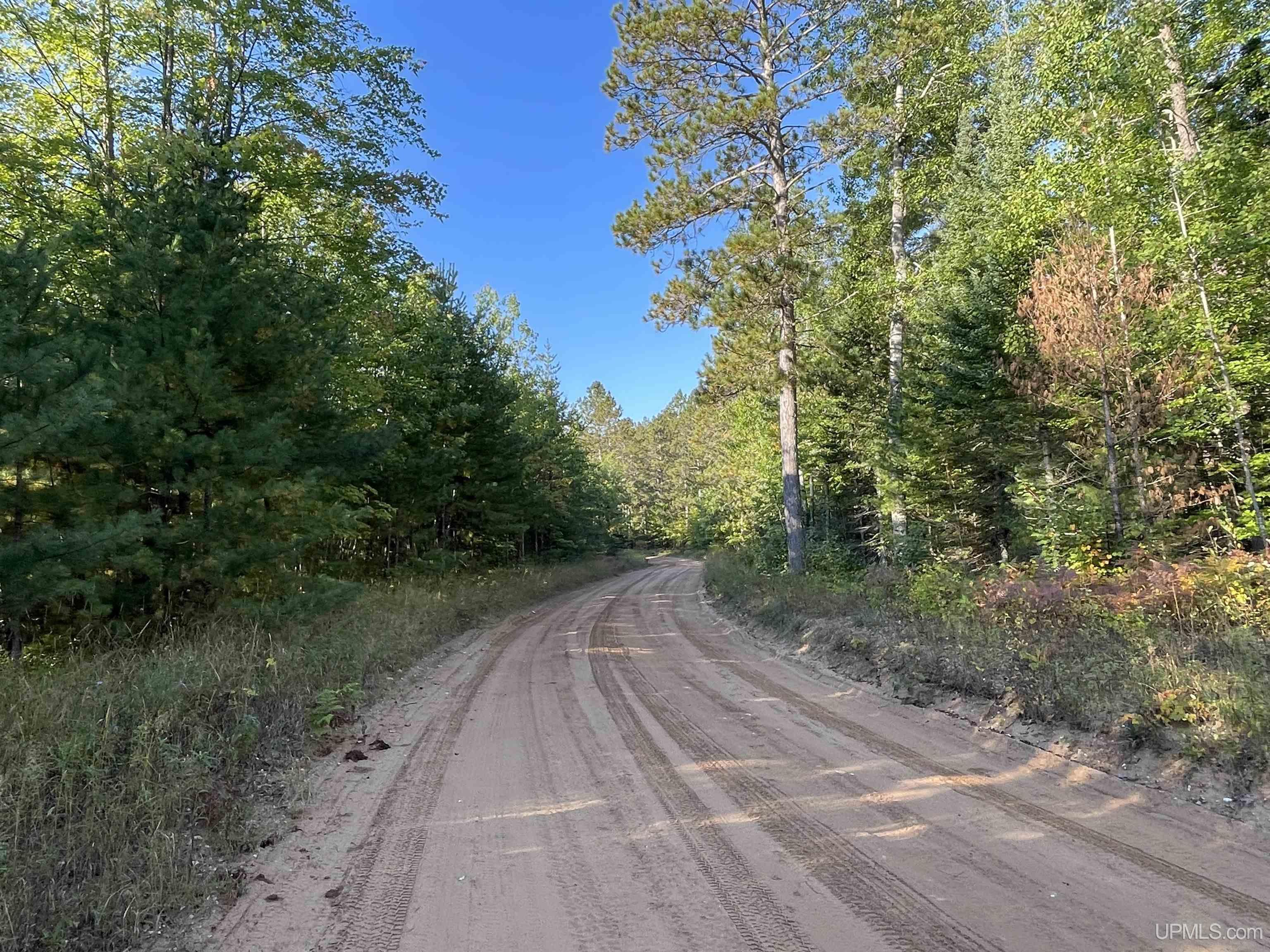 Tbd Coutny Road 436 Road Gulliver, MI 49840 - Photo 21 of 35 Gallery Image 21