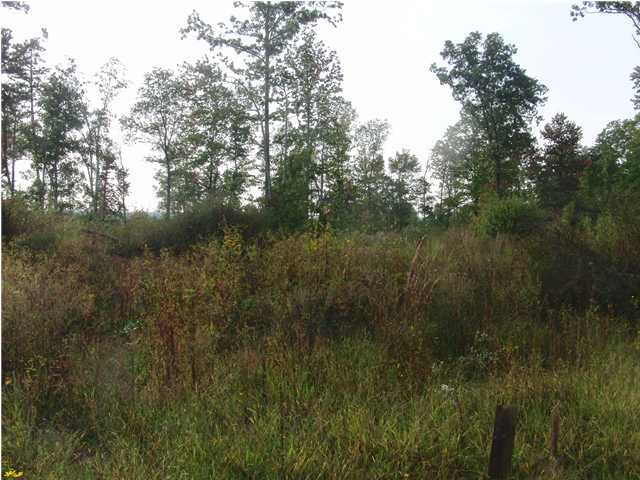1000 Silvey Road Signal Mountain, TN 37377 - Photo 3 of 4 Additional Photo