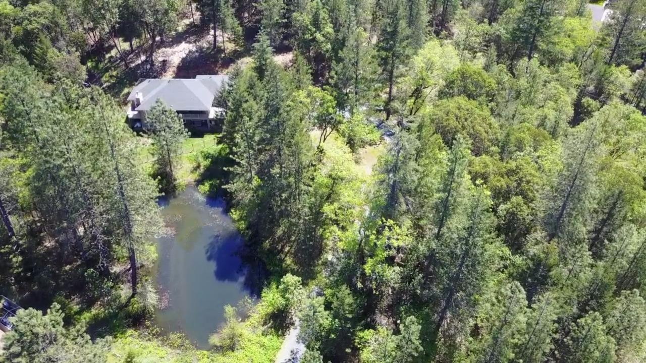 1390 Crow Road Merlin, OR 97532 - Photo 32 of 35 an aerial view of residential house with outdoor space and trees all around
