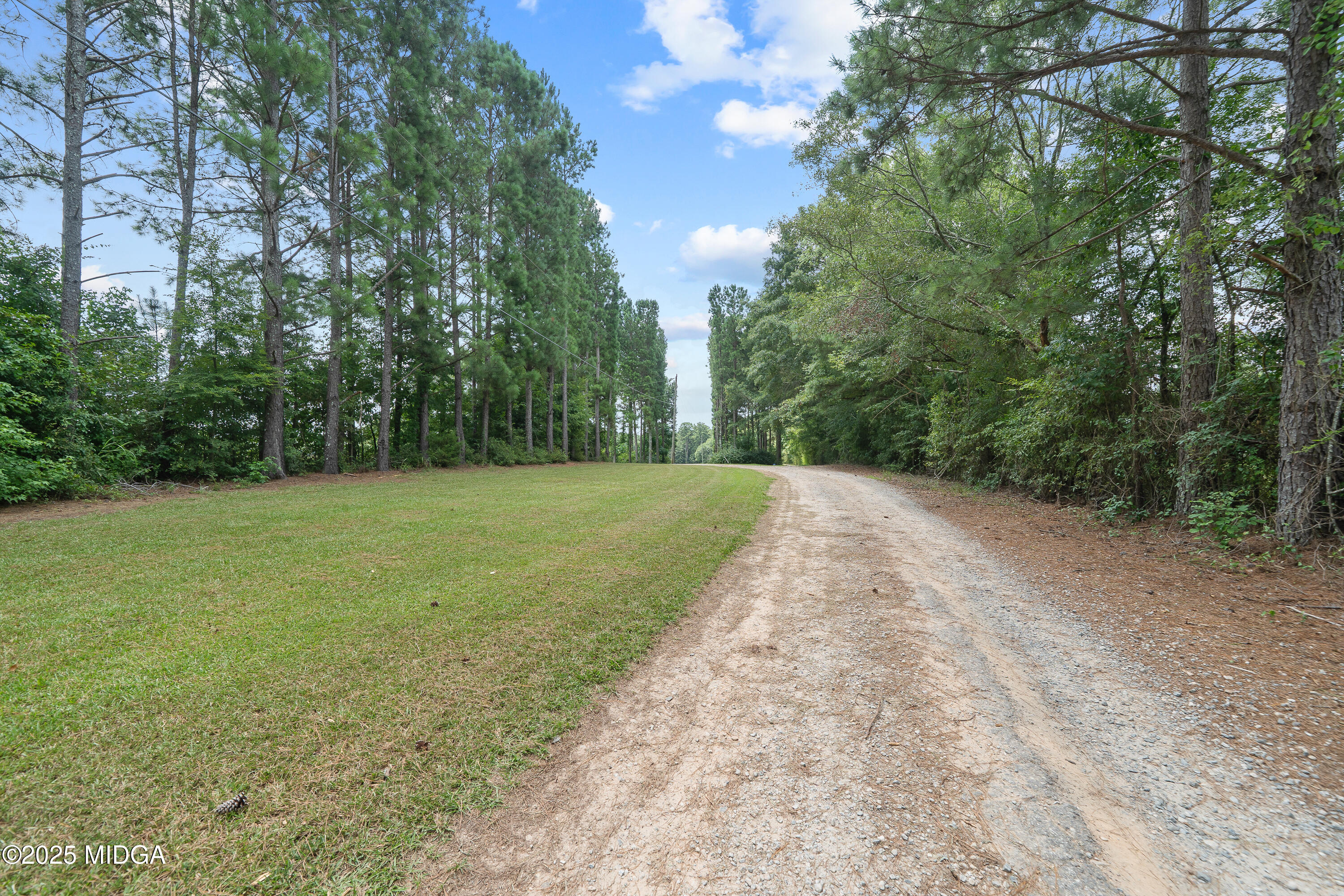 299 Colvin Road Forsyth, GA 31029 - Photo 4 of 51 a view of a yard with trees