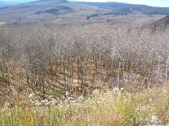 926 Cr-283 Kremmling, CO 80459 - Photo 3 of 3