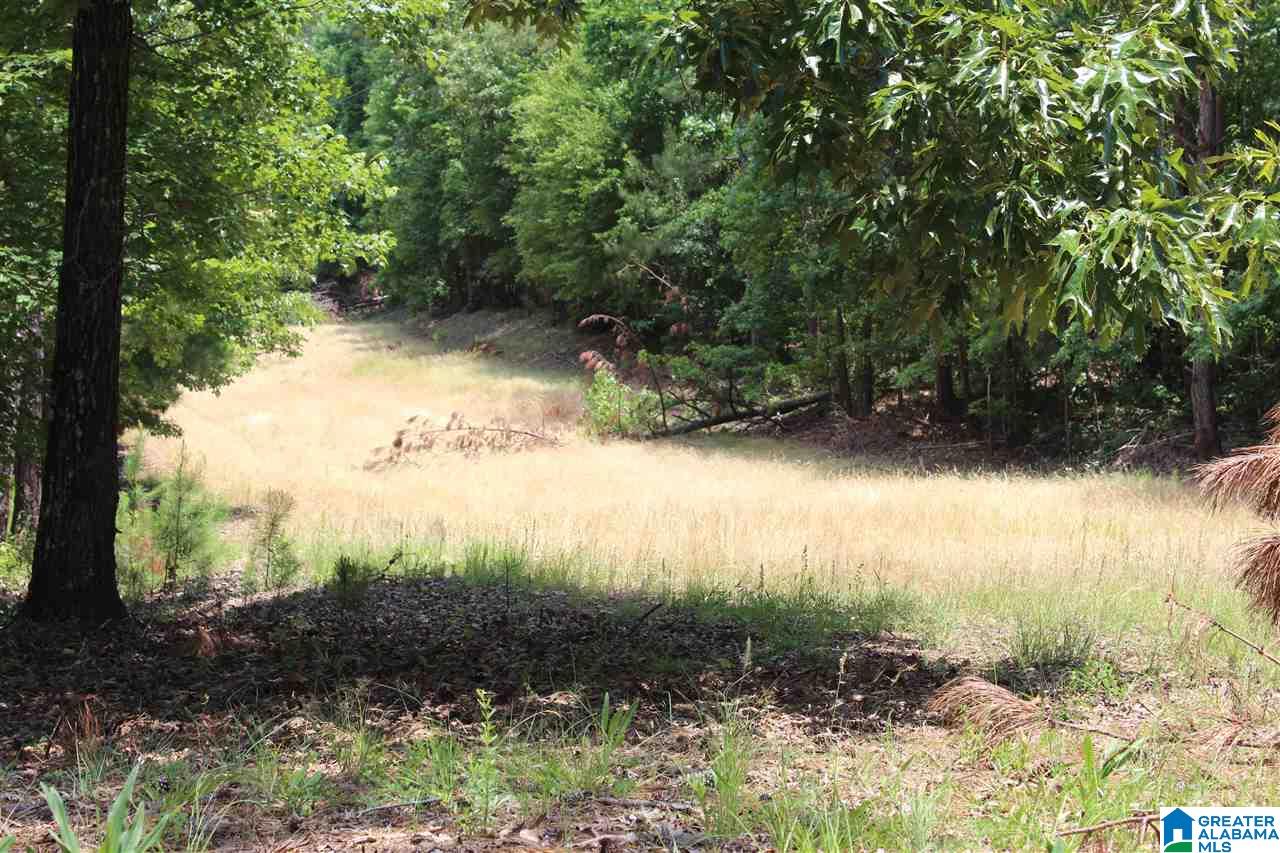 1652 County Road 101 Kellyton, AL 35089 - Photo 17 of 28