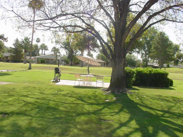 625 South Power Road, Unit 367 Mesa, AZ 85206 - Photo 4 of 4 a view of a park with a tree