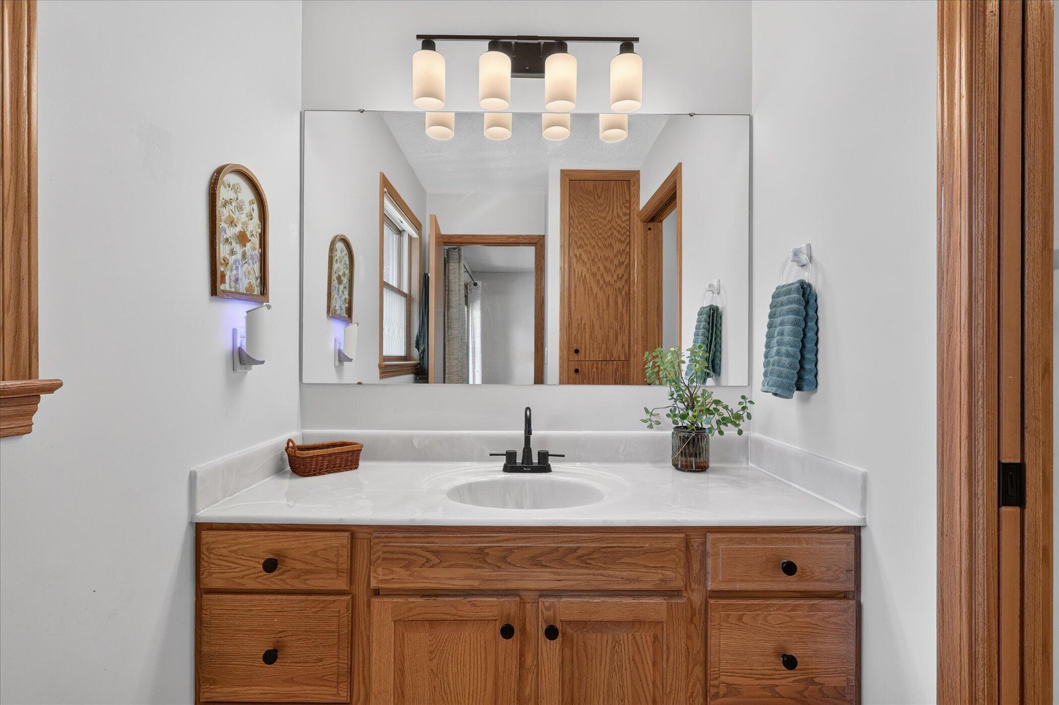 117 Charlotte Street Edmore, MI 48829 - Photo 26 of 44 Primary Bathroom