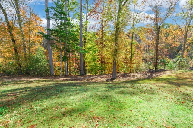 a view of a yard with a tree