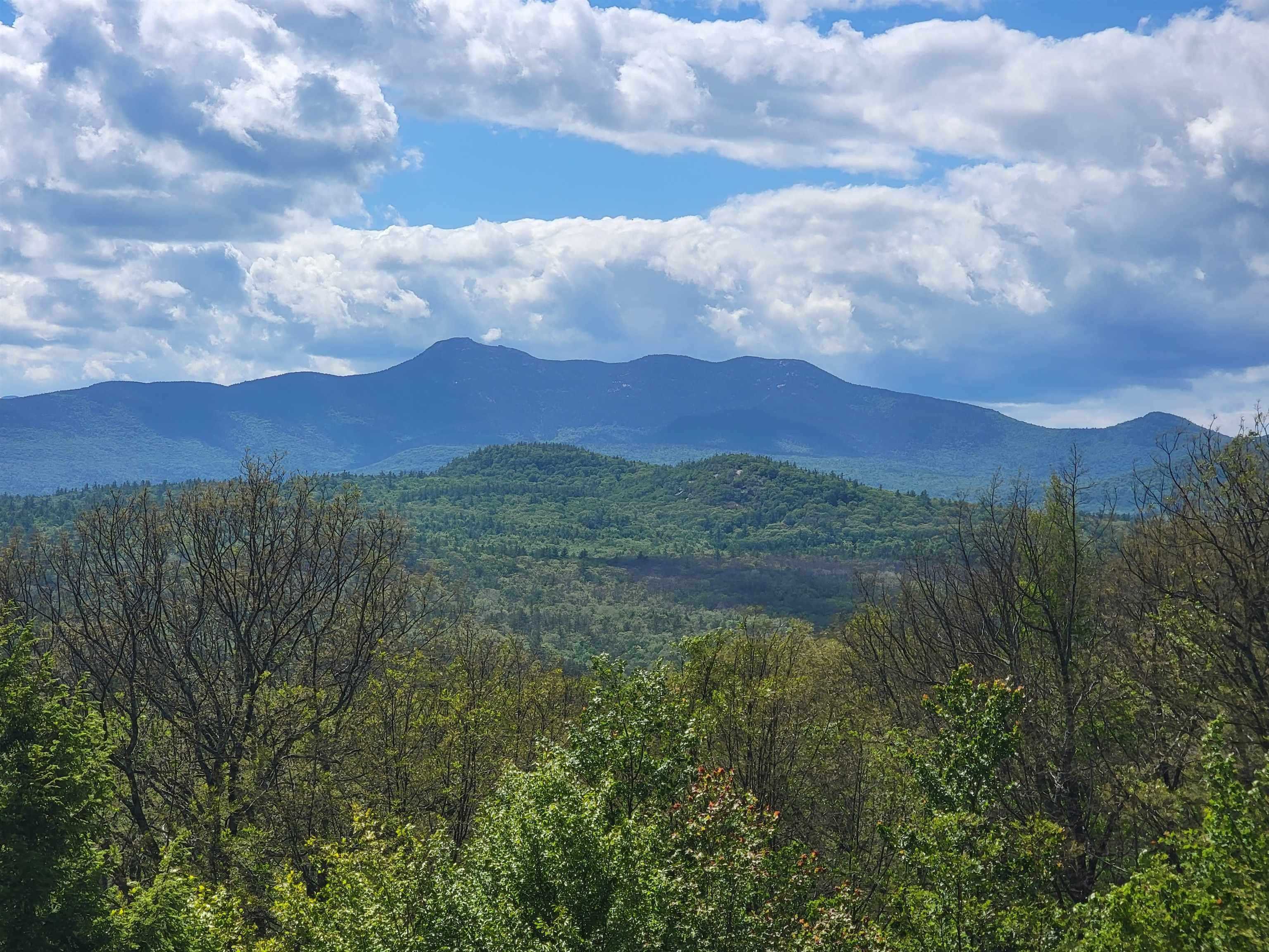 36 Oak Ridge Road Madison, NH 03849 - Photo 2 of 2