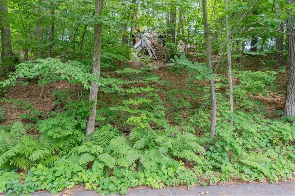 9 Georgia Road Groton, MA 01450 - Photo 21 of 28