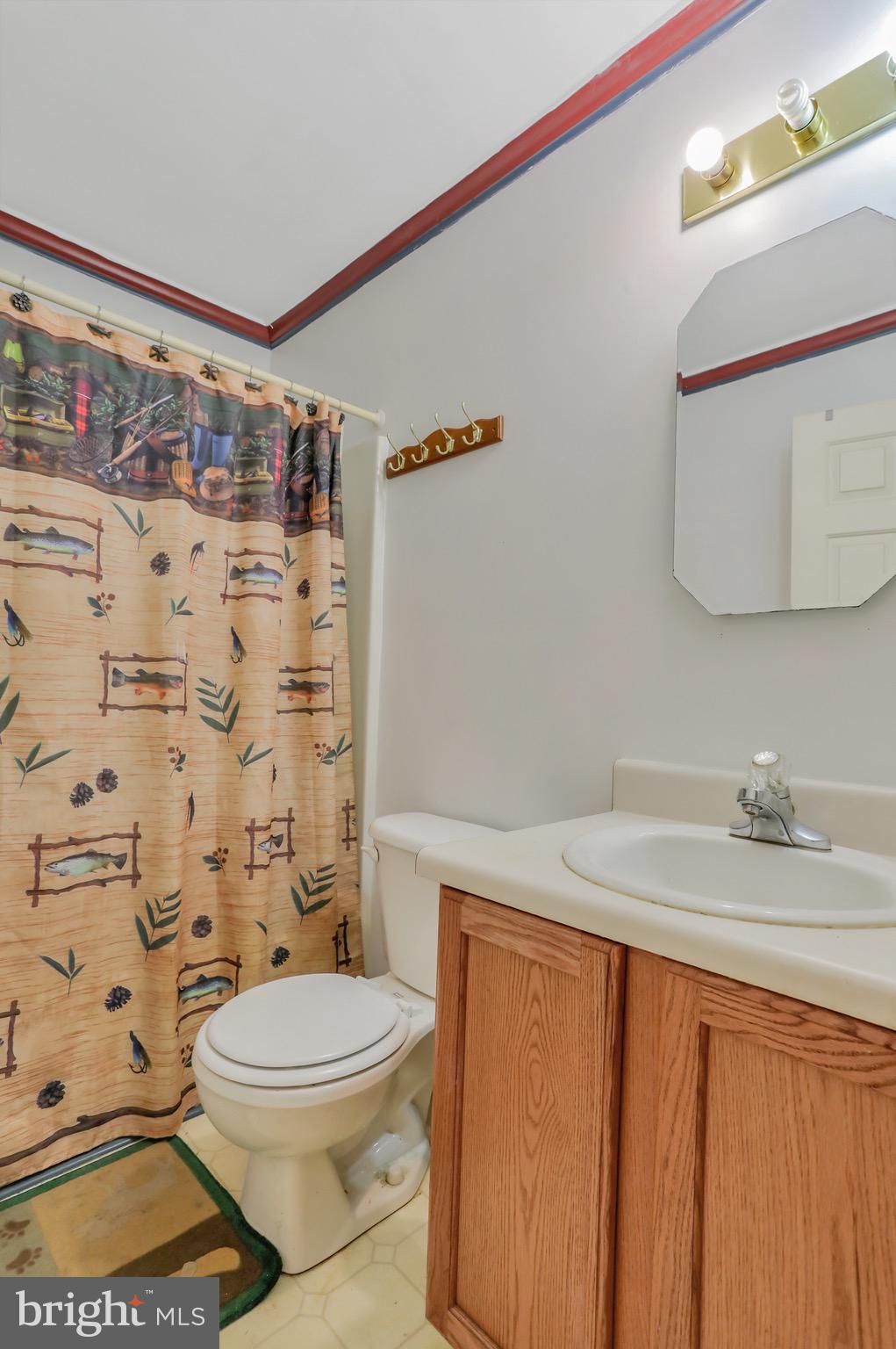 1125 Island Ford Road Rileyville, VA 22650 - Photo 15 of 70 a bathroom with a sink a toilet and shower curtain