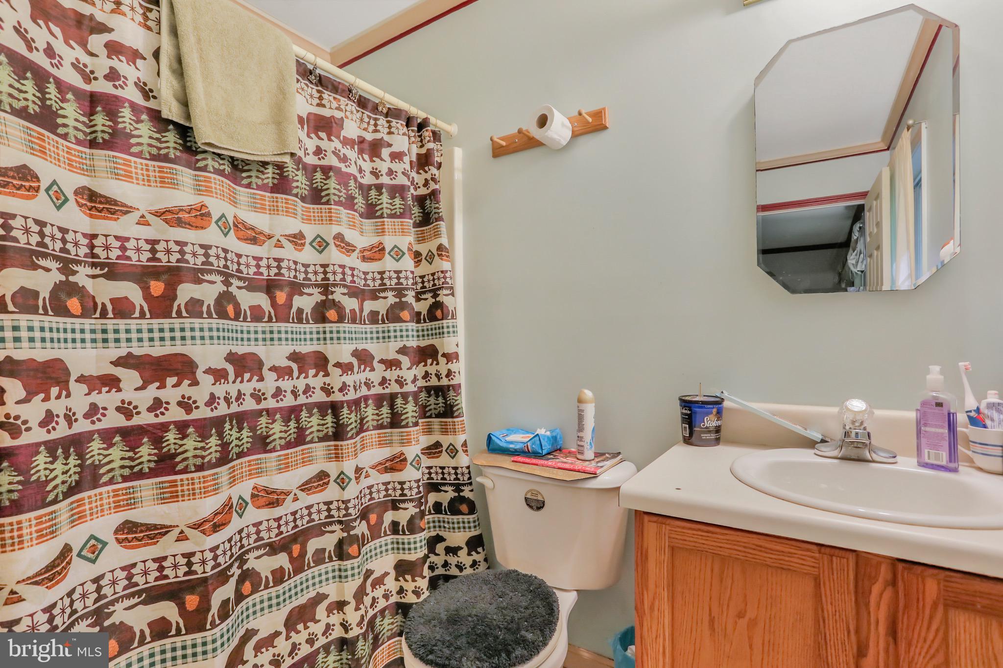1125 Island Ford Road Rileyville, VA 22650 - Photo 24 of 70 a bathroom with a sink and a mirror