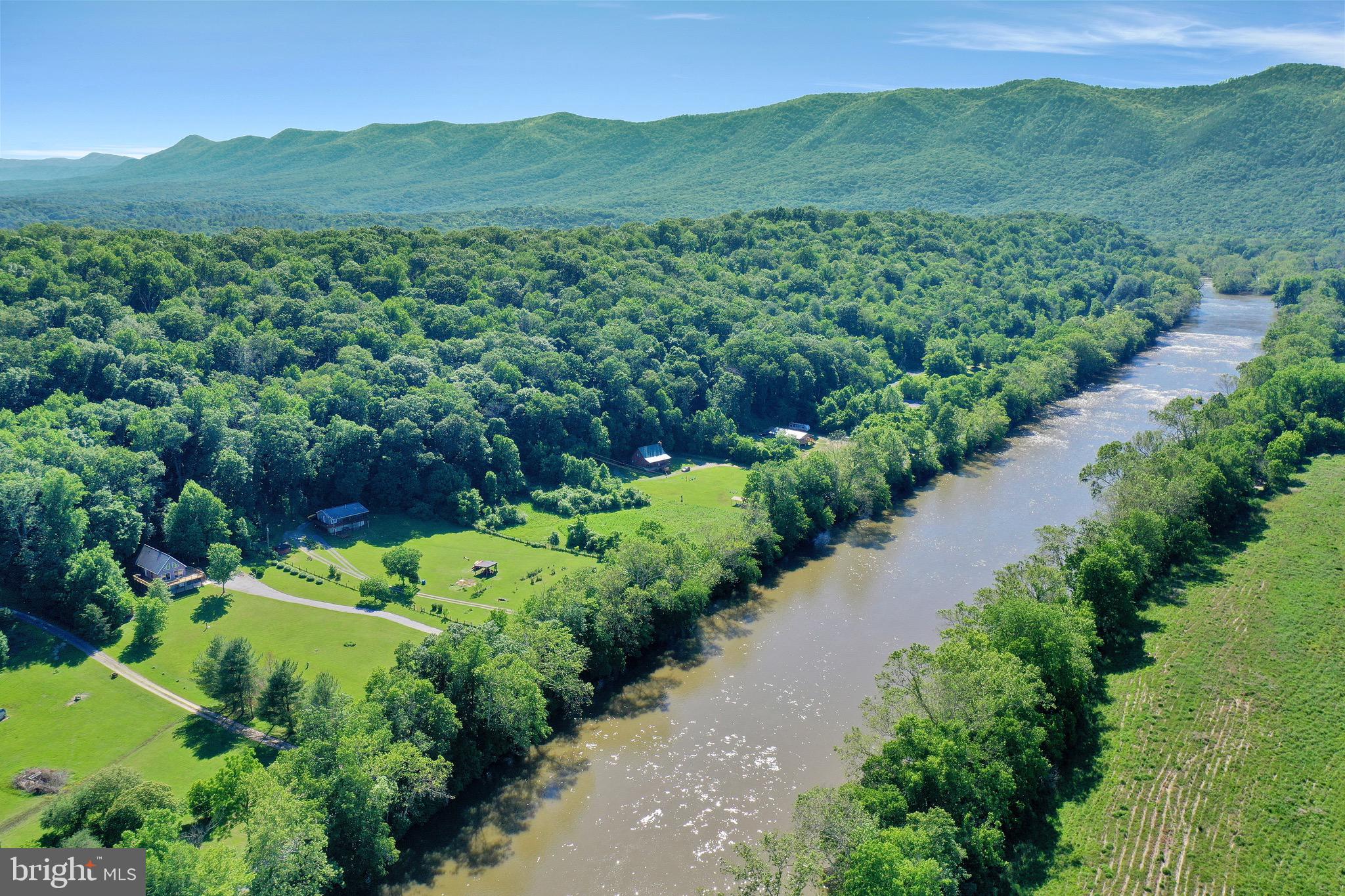 1125 Island Ford Road Rileyville, VA 22650 - Photo 52 of 70 a view of a lush green forest with mountains in the background