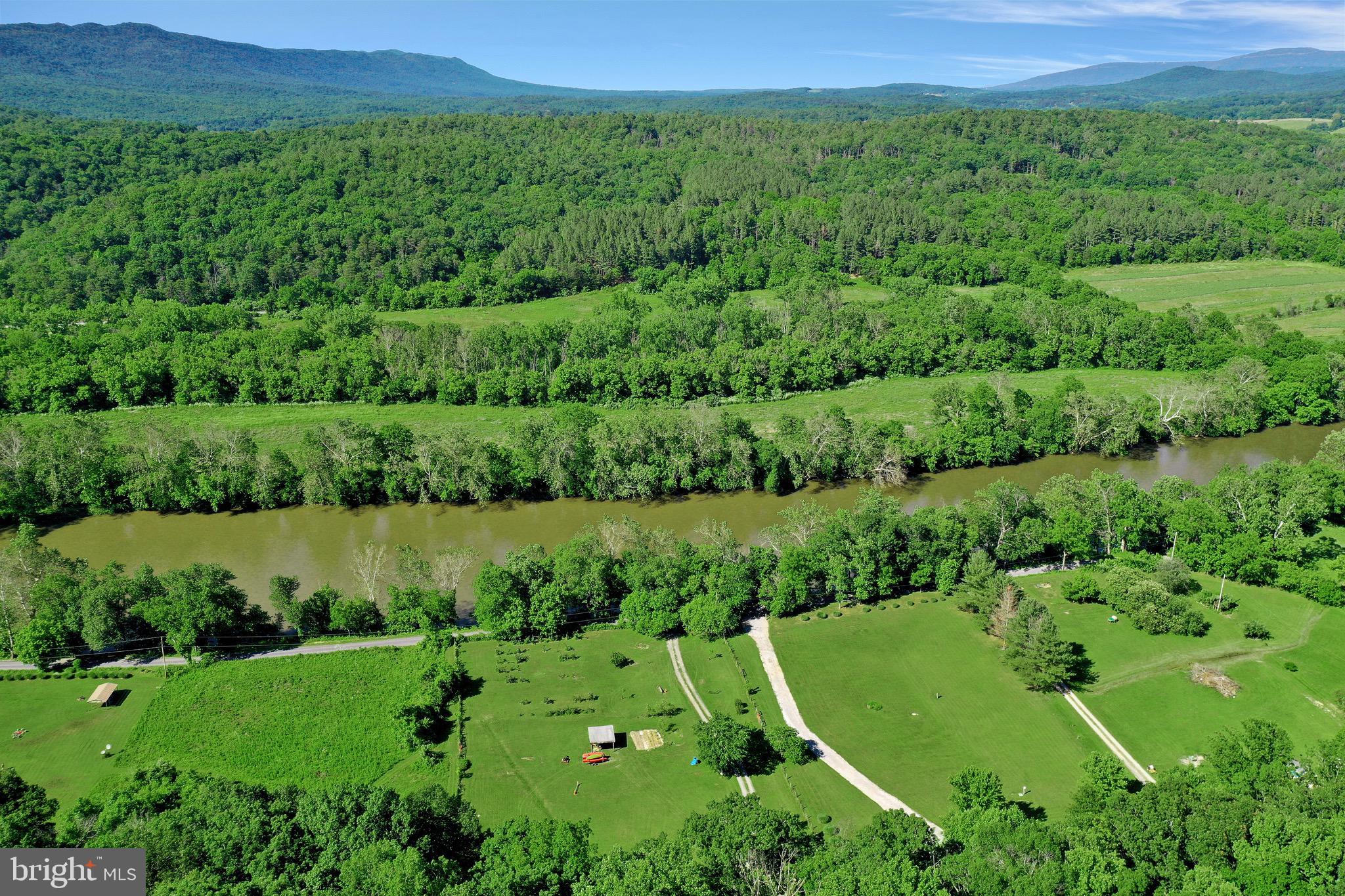 1125 Island Ford Road Rileyville, VA 22650 - Photo 69 of 70 a view of a lush green field with plants and trees in the background