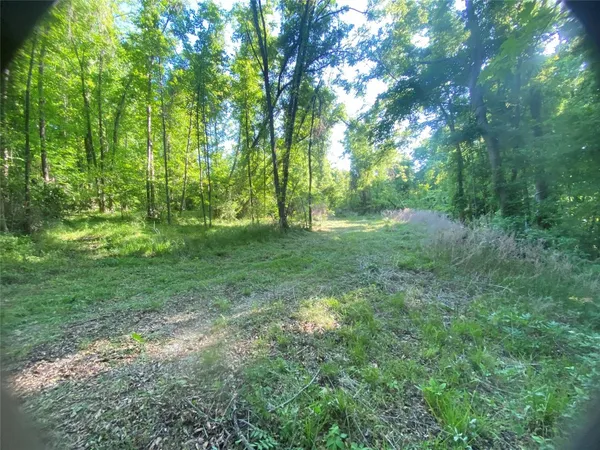 a view of a field with trees in the background