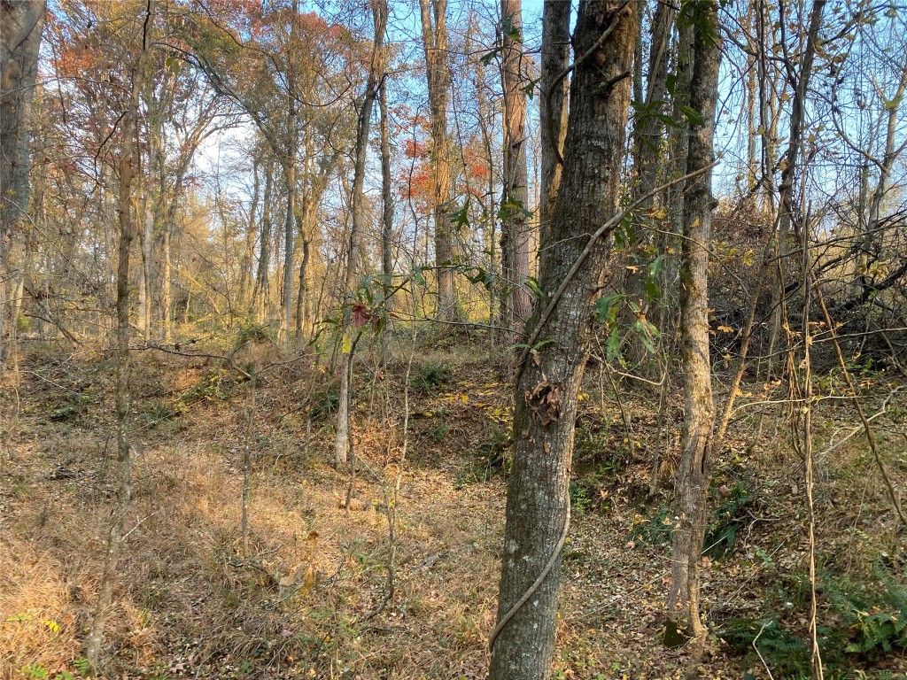 0 Danburg Road Washington, GA 30673 - Photo 19 of 24