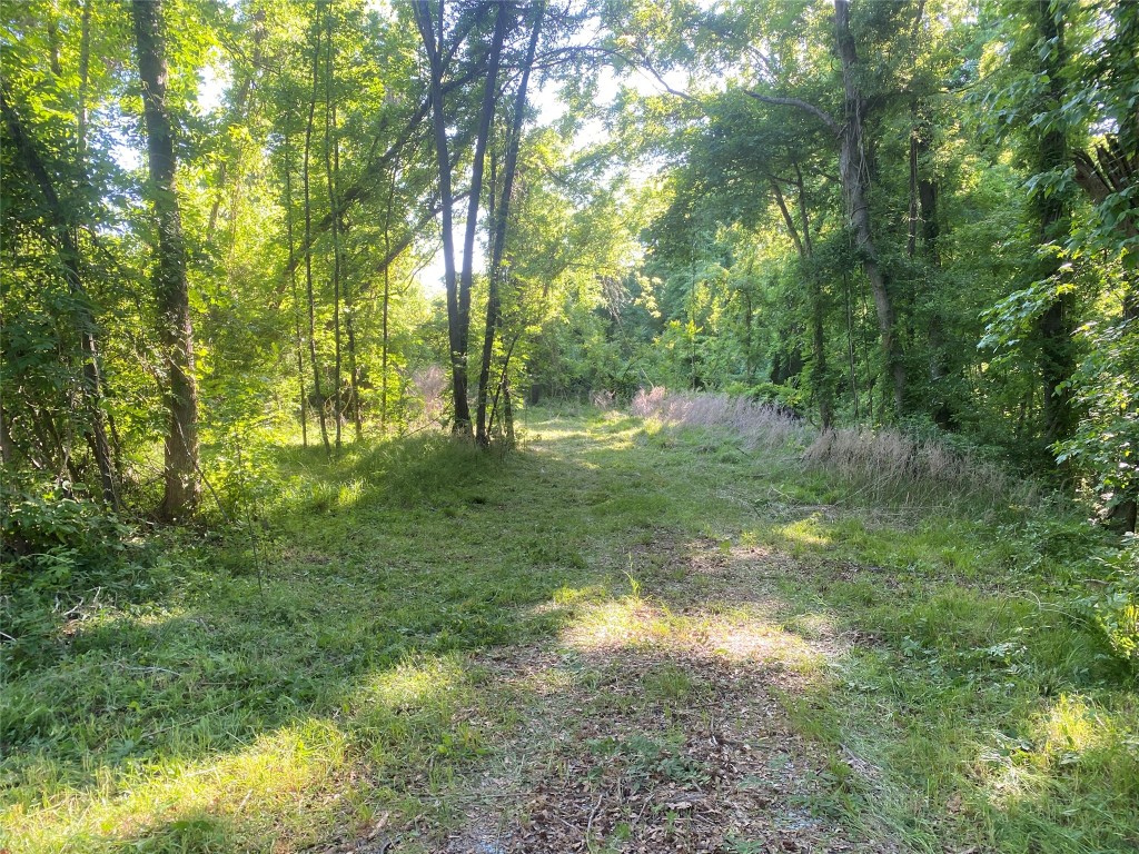 0 Danburg Road Washington, GA 30673 - Photo 2 of 24 a view of yard with green space