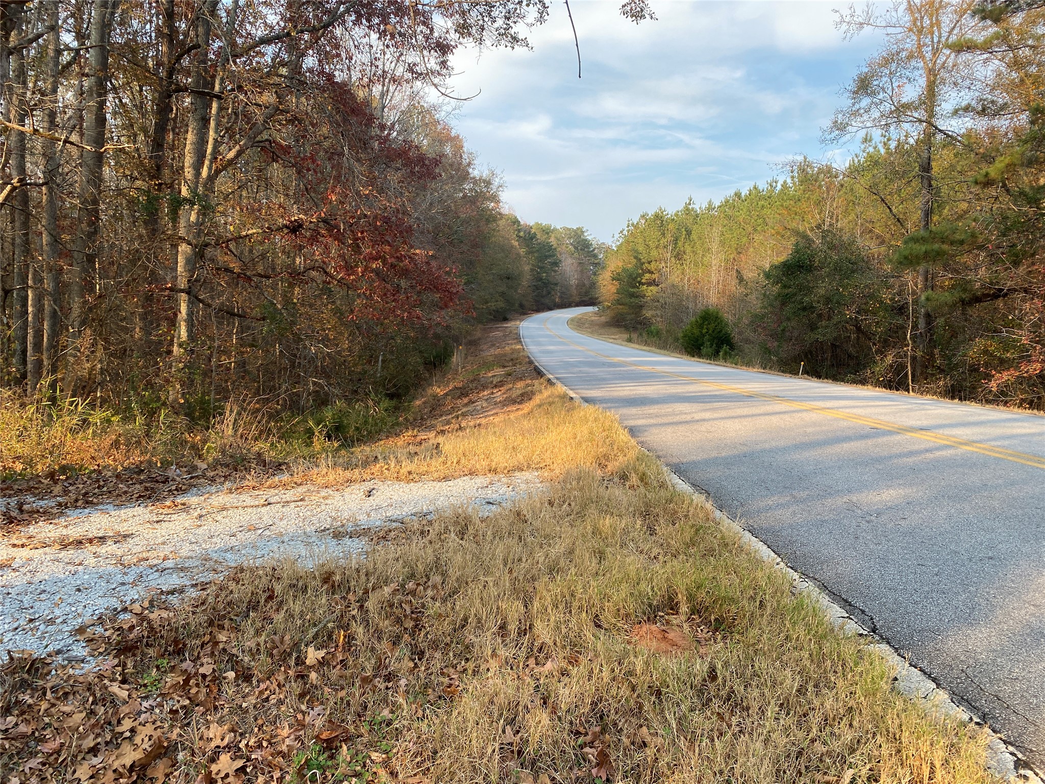 0 Danburg Road Washington, GA 30673 - Photo 23 of 24 a view of a yard with large trees