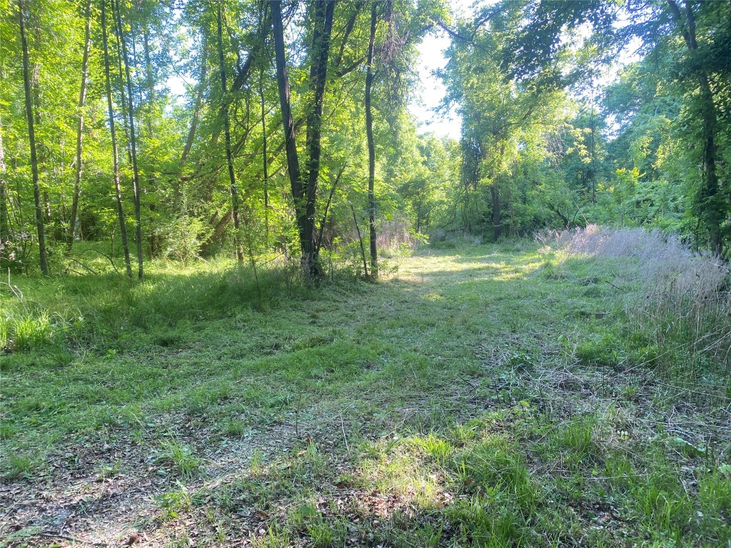 0 Danburg Road Washington, GA 30673 - Photo 3 of 24 a view of a green field with lots of bushes