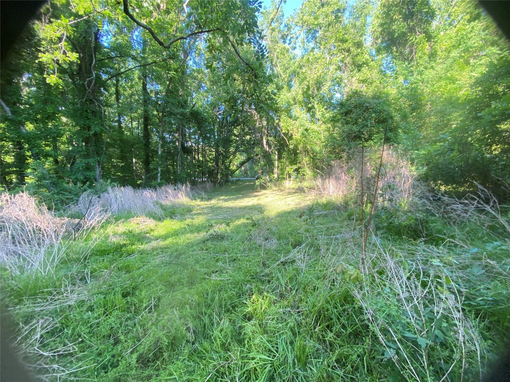0 Danburg Road Washington, GA 30673 - Photo 4 of 24 a view of yard with green space