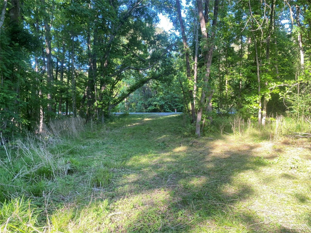 0 Danburg Road Washington, GA 30673 - Photo 5 of 24 a view of a lake view with a big yard