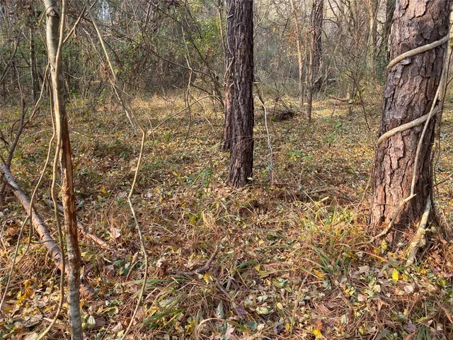a view of a yard with plants and wooden fence