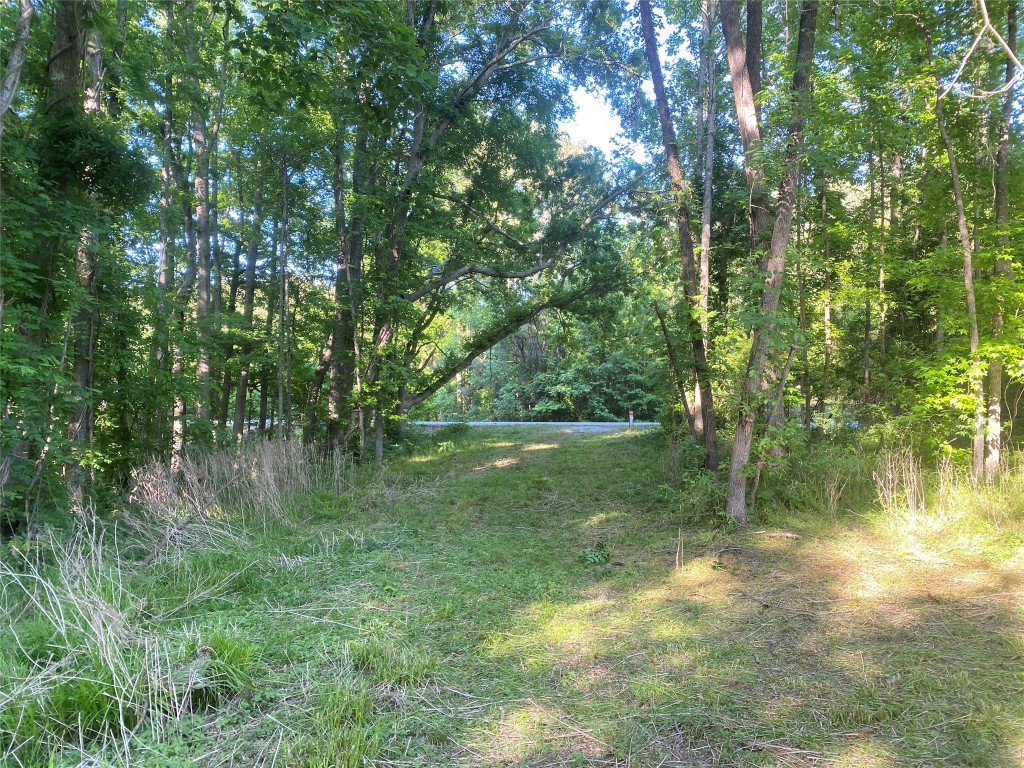 0 Danburg Road Washington, GA 30673 - Photo 6 of 24 a view of lake with green space