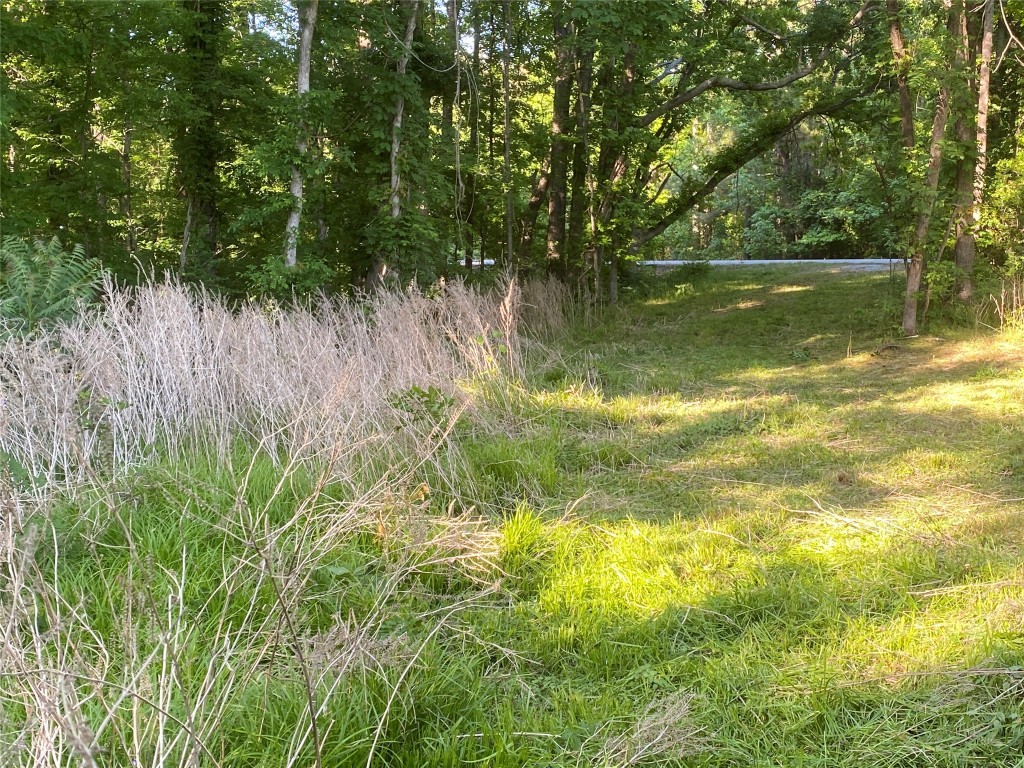 0 Danburg Road Washington, GA 30673 - Photo 7 of 24 a view of a lake view with a garden