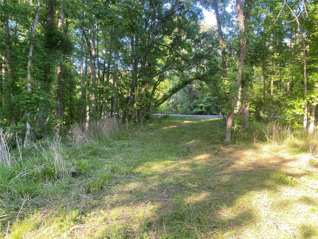 0 Danburg Road Washington, GA 30673 - Photo 8 of 24 a view of a lake with a yard