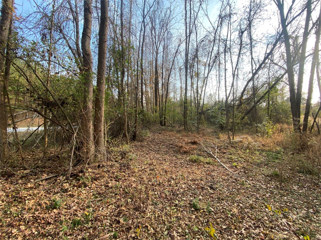 0 Danburg Road Washington, GA 30673 - Photo 10 of 24 a backyard of a house with lots of green space