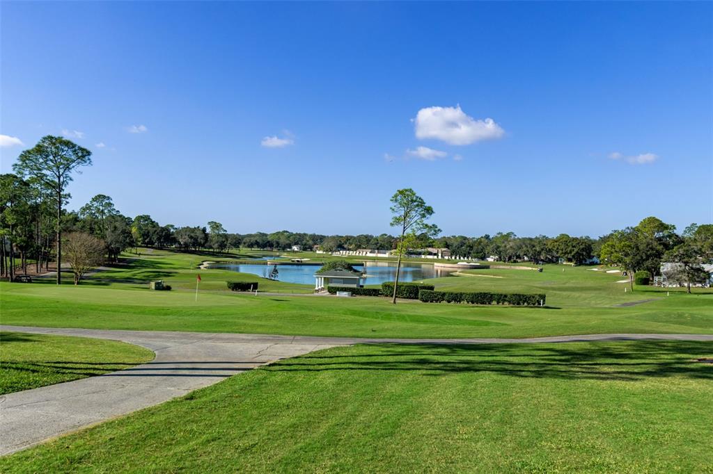 2643 Royal Ridge Drive Spring Hill, FL 34606 - Photo 41 of 84