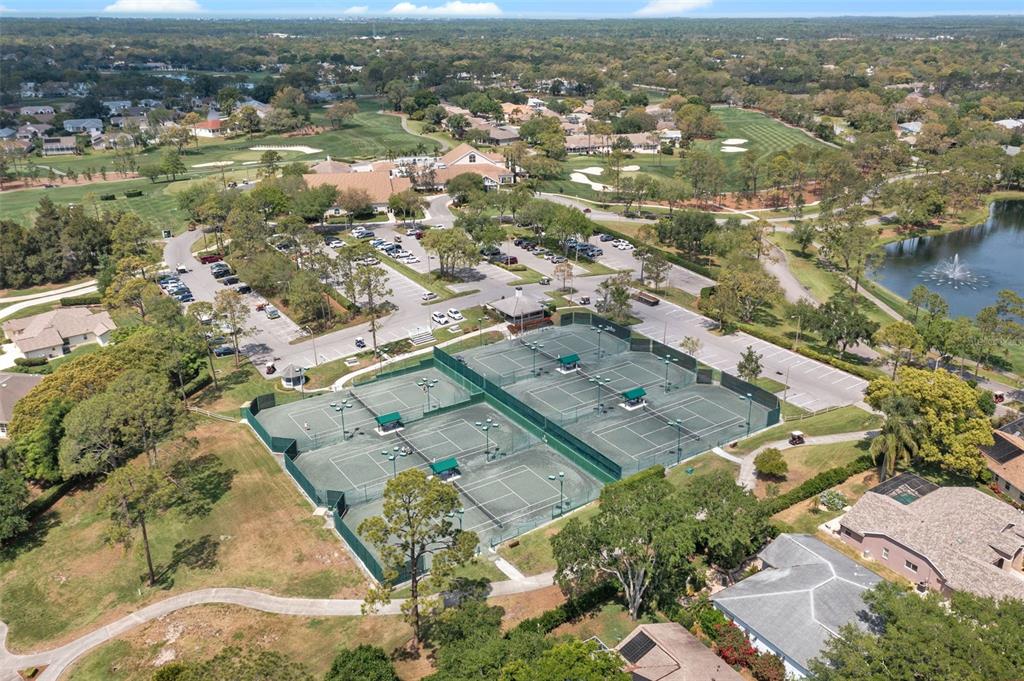 2643 Royal Ridge Drive Spring Hill, FL 34606 - Photo 50 of 84 an aerial view of residential houses with outdoor space
