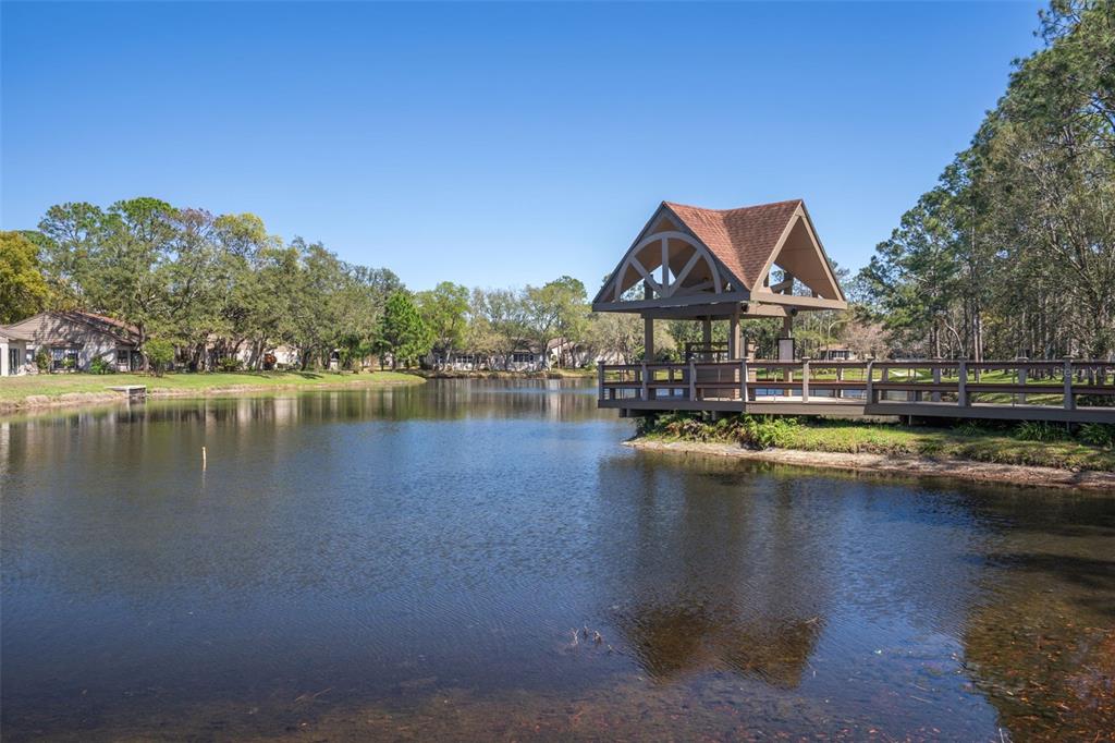 2643 Royal Ridge Drive Spring Hill, FL 34606 - Photo 52 of 84