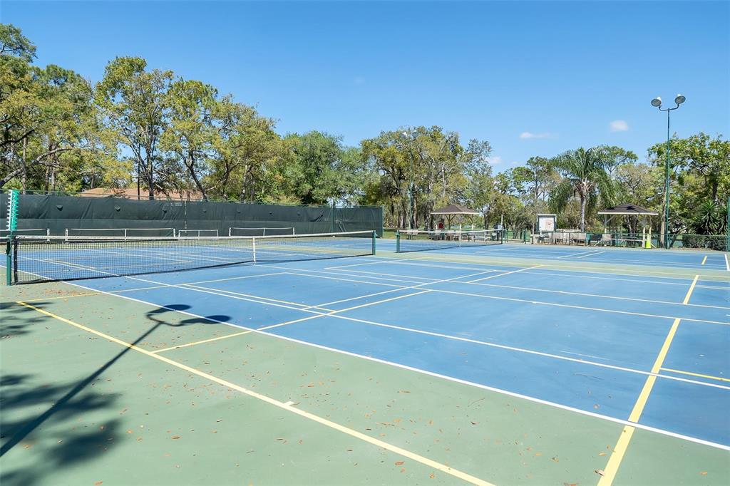 2643 Royal Ridge Drive Spring Hill, FL 34606 - Photo 57 of 84 a view of a tennis court