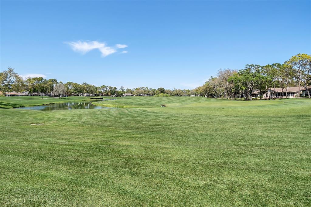 2643 Royal Ridge Drive Spring Hill, FL 34606 - Photo 62 of 84 a view of an ocean from a yard