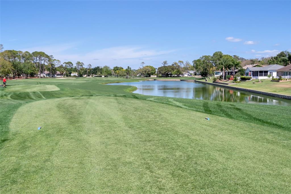 2643 Royal Ridge Drive Spring Hill, FL 34606 - Photo 65 of 84 a view of a lake with houses in the background