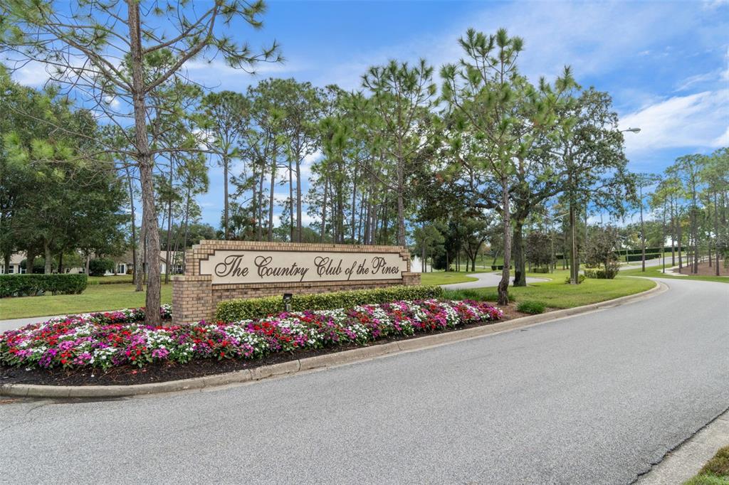 2643 Royal Ridge Drive Spring Hill, FL 34606 - Photo 73 of 84 a view of a garden with flowers and trees
