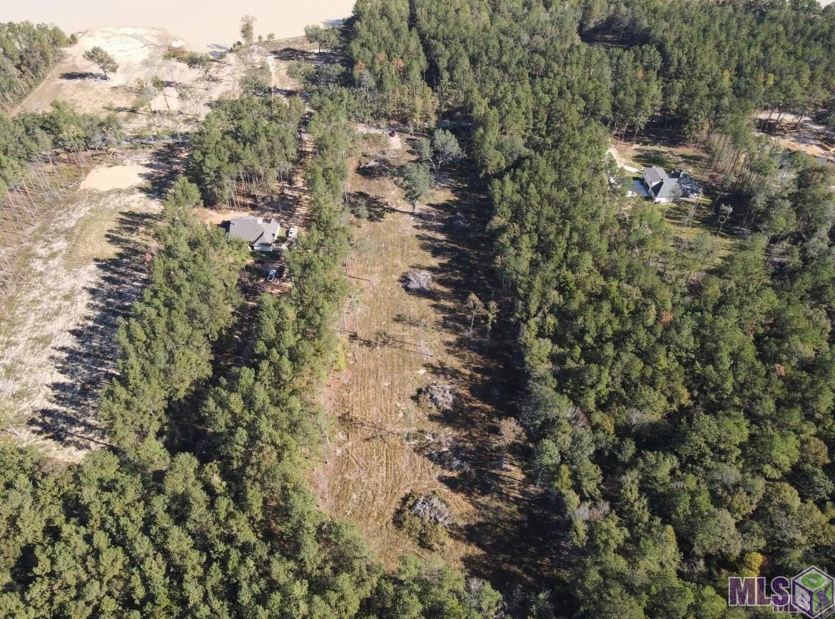 3315 Nesom Road Denham Springs, LA 70706 - Photo 1 of 5